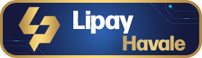 LiPayNew